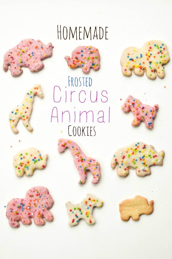 Homemade Frosted Circus Animal Cookies (FOOD PHOTO SHOOT) — Steemit